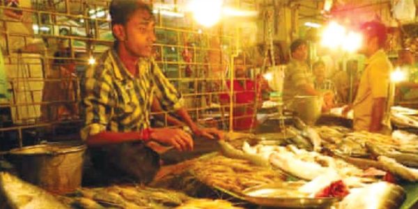 মাছ বিক্রিতে রঙিন বাতির মাধ্যমে প্রতারণা
